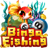 Bingo Fishing on JL555